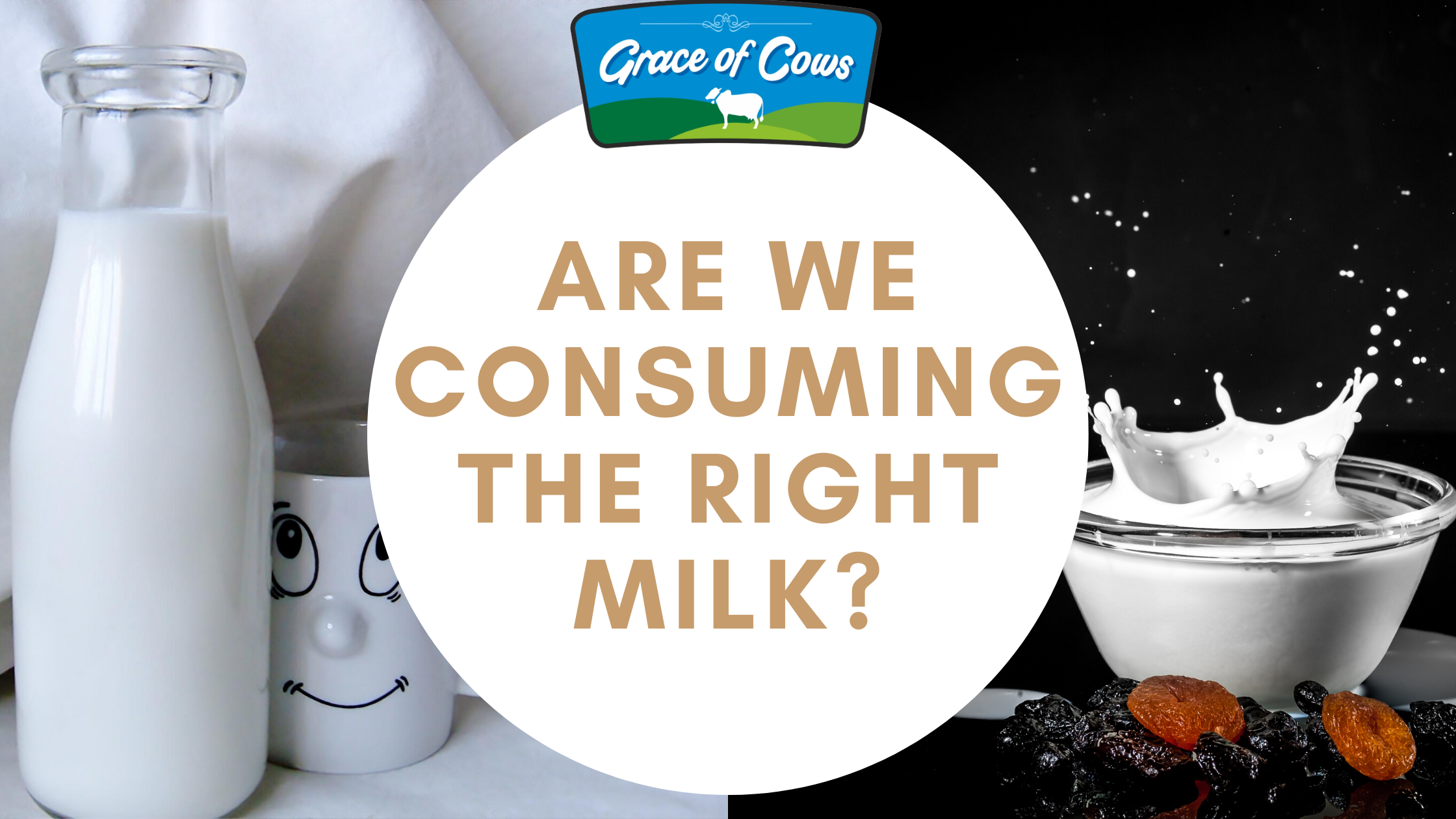 You are currently viewing Are We Consuming The Right Milk?